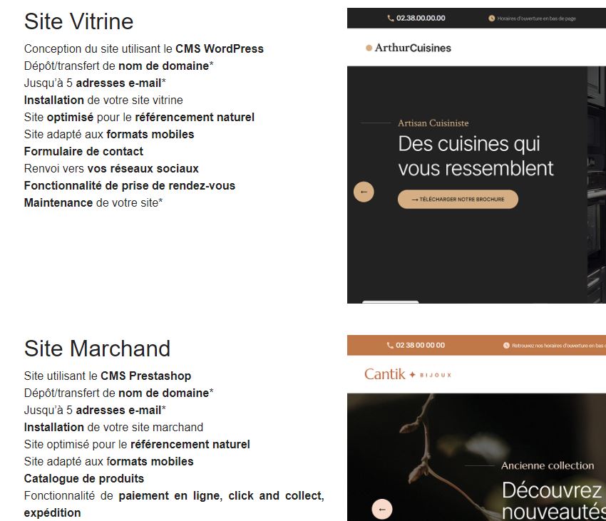 siteinternet_vitrine_ou_marchand
